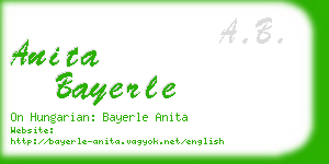 anita bayerle business card